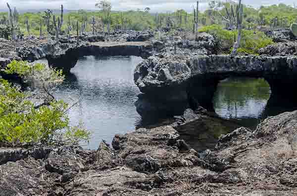 60 - Ecuador - islas Galapagos - isla Isabela - los Tuneles